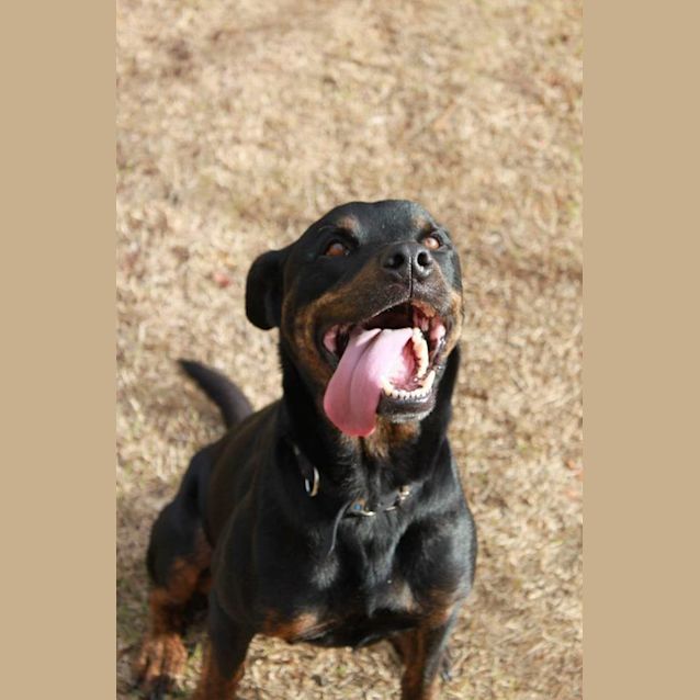 Photo of Bundy