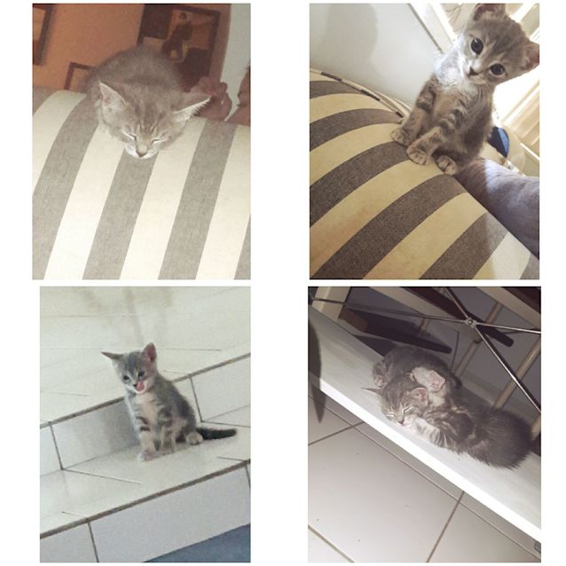 Photo of Milly
