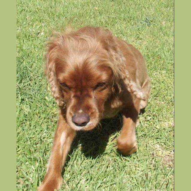 Photo of Jed   On Hold