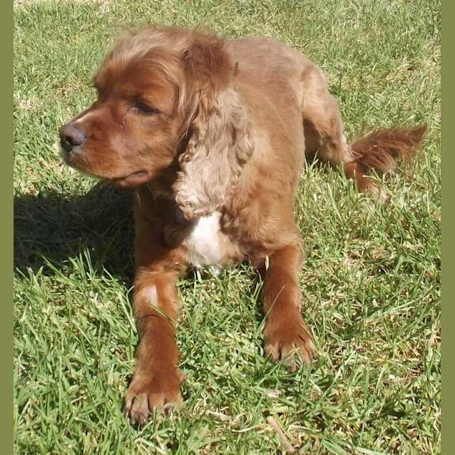 Photo of Jed   On Hold