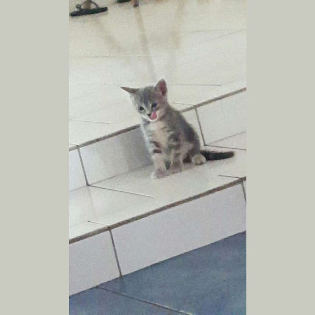 Photo of Milly
