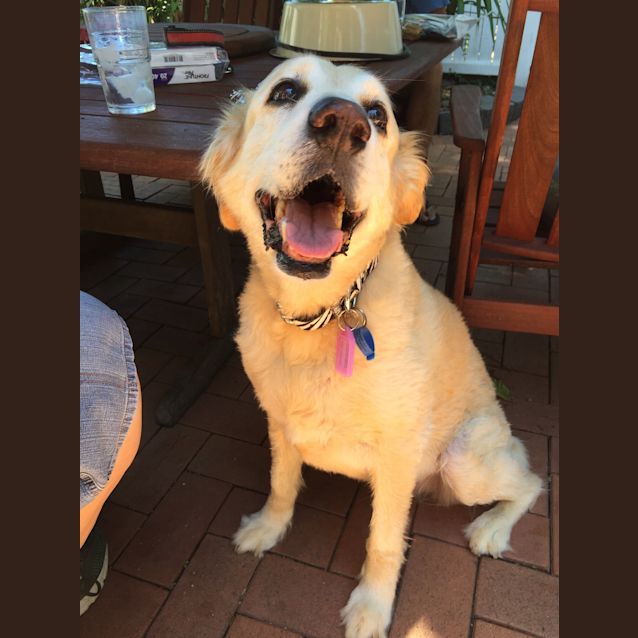 Photo of Baylee