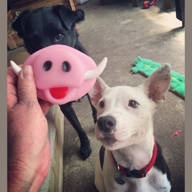 Photo of Miss Daisy Pickle