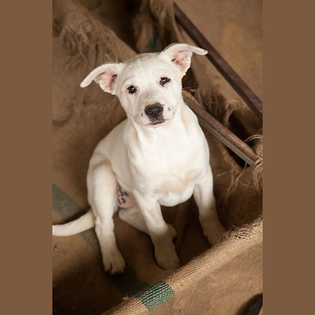 Photo of Shanti