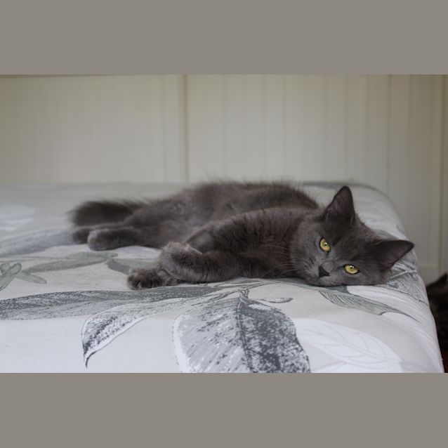 Photo of Anastasia
