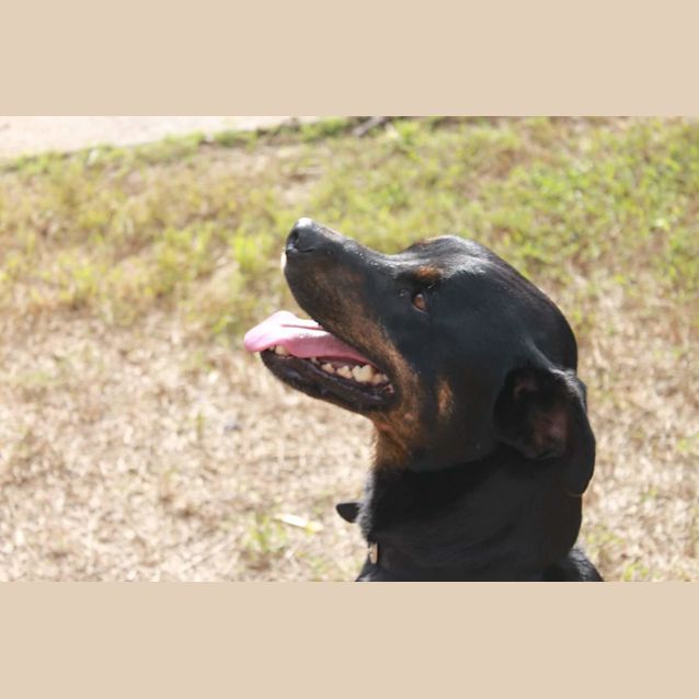 Photo of Bundy