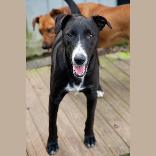 Photo of Rosco2