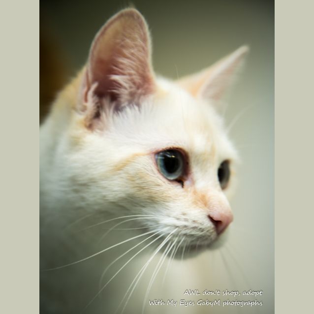 Photo of Coco