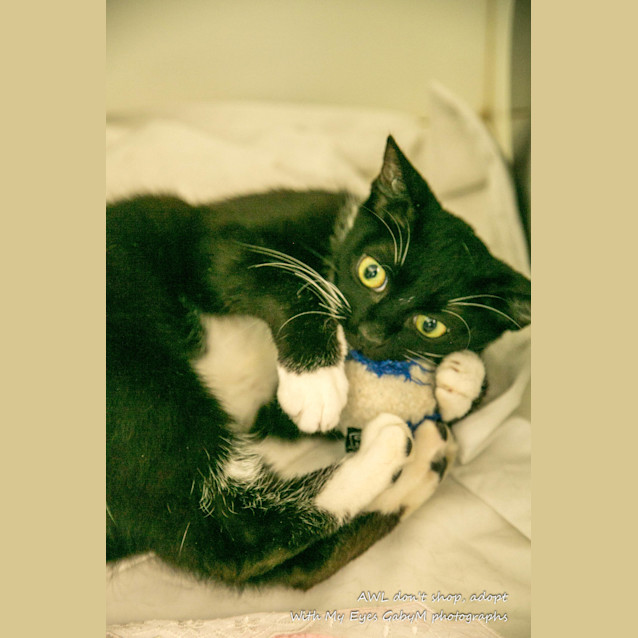 Photo of Bella
