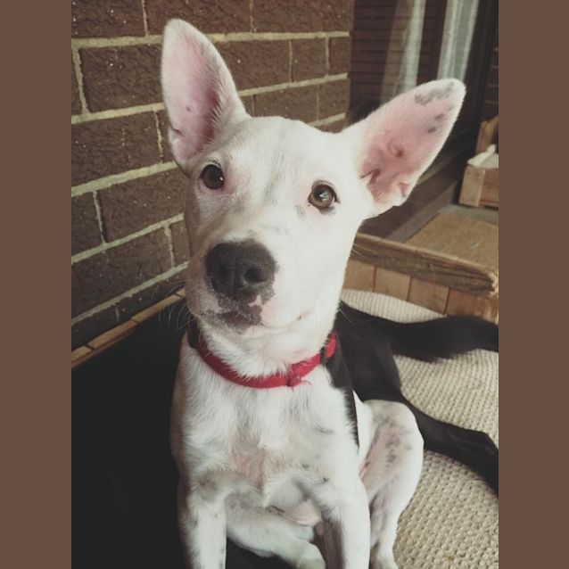 Photo of Miss Daisy Pickle