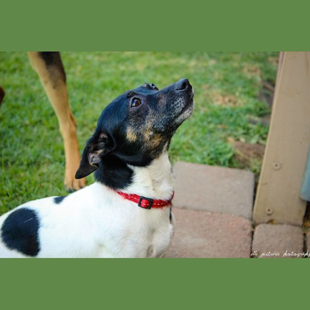 Photo of Teeny Weeny Macey