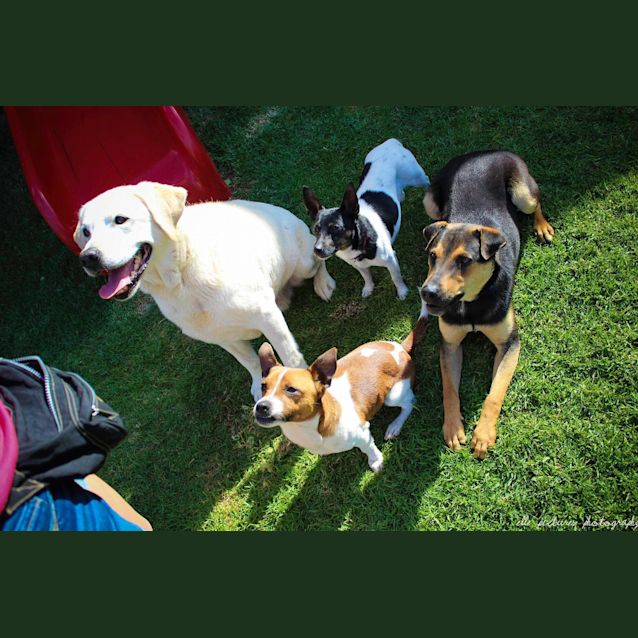 Photo of Teeny Weeny Macey