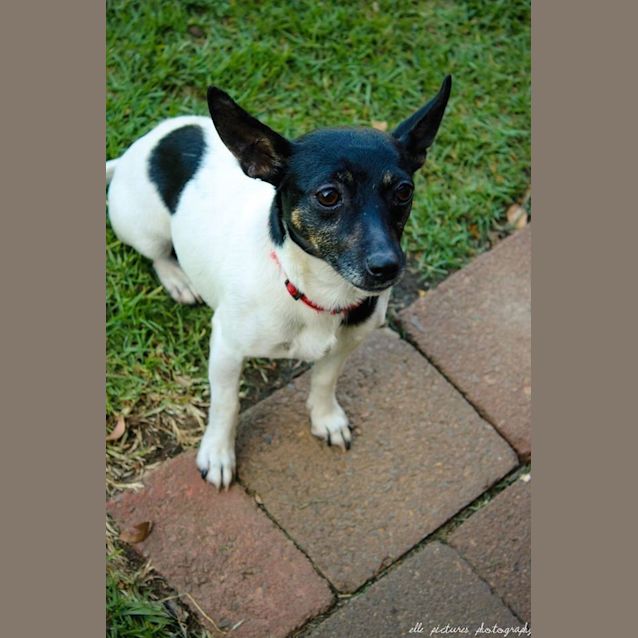 Photo of Teeny Weeny Macey