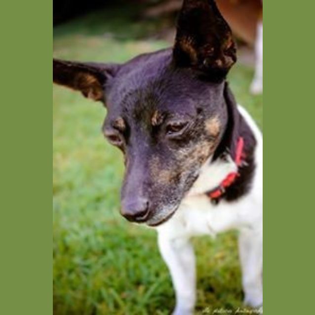 Photo of Teeny Weeny Macey