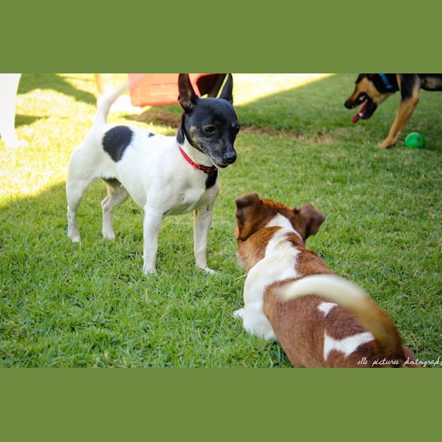 Photo of Teeny Weeny Macey