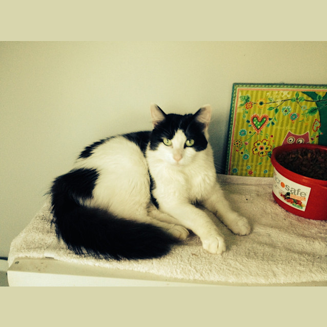 Photo of Tilly