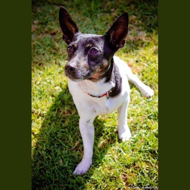 Photo of Teeny Weeny Macey