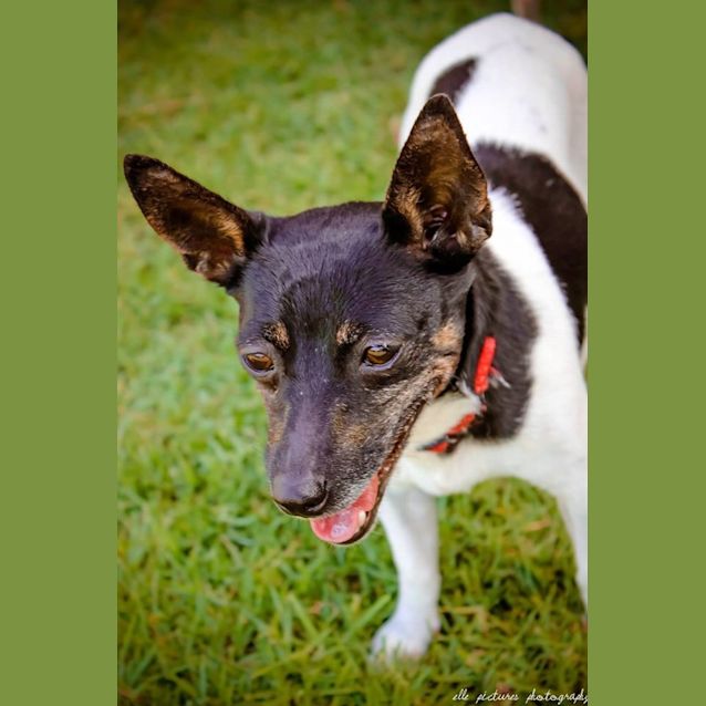 Photo of Teeny Weeny Macey