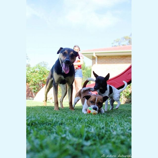 Photo of Teeny Weeny Macey