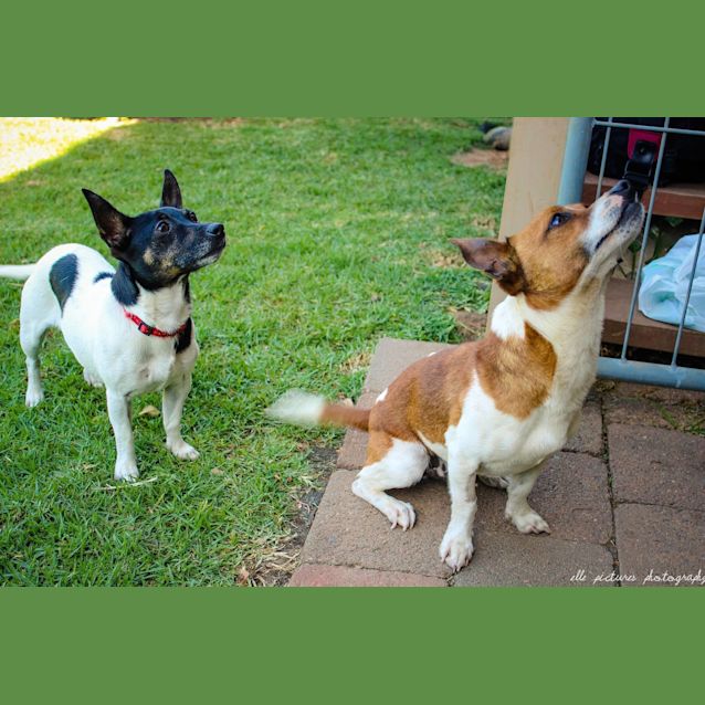 Photo of Teeny Weeny Macey