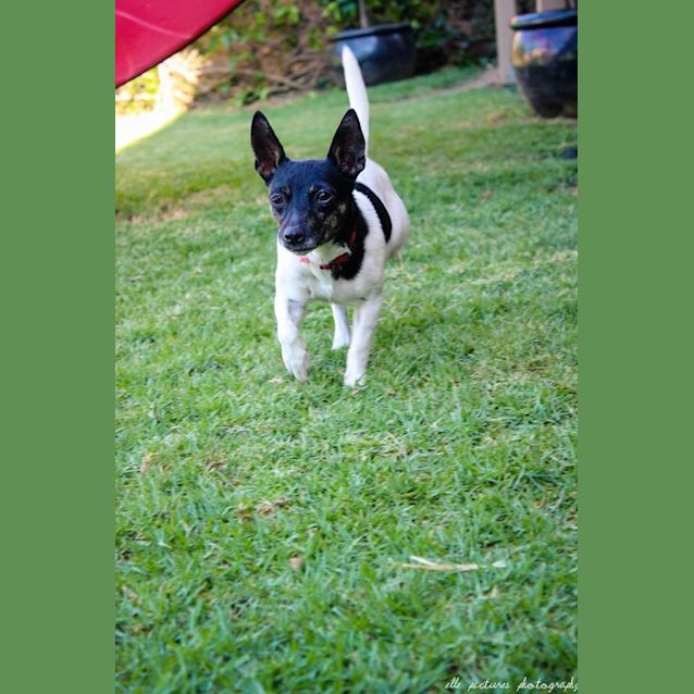 Photo of Teeny Weeny Macey