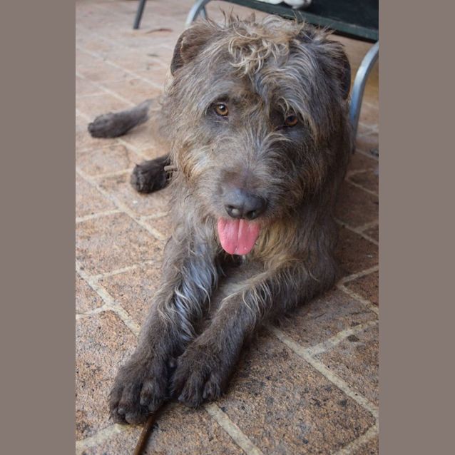Photo of Hugo