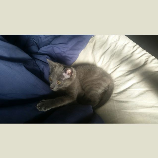 Photo of Jasmin