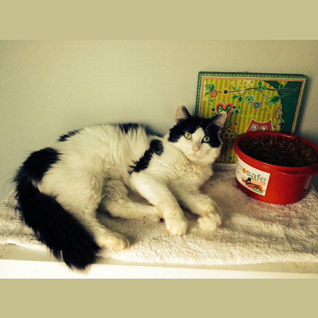 Photo of Tilly