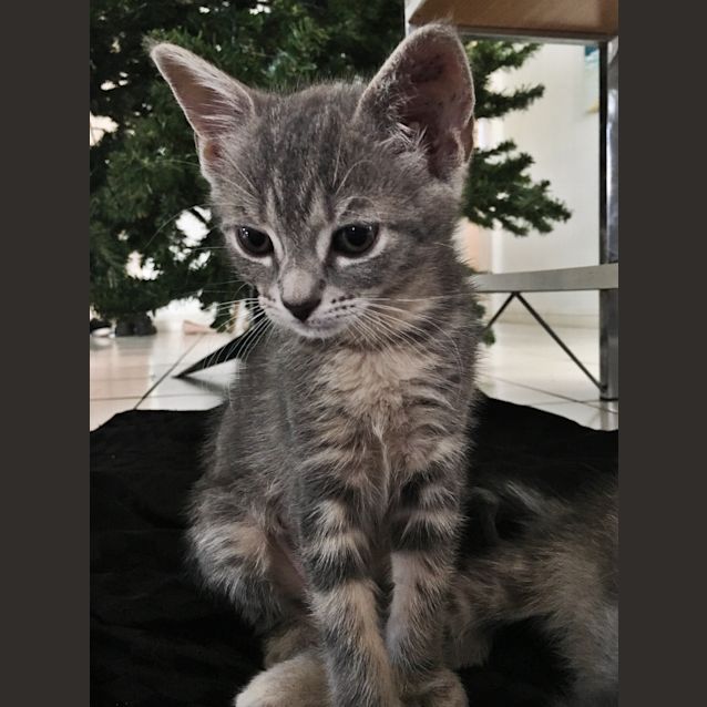 Photo of Milly