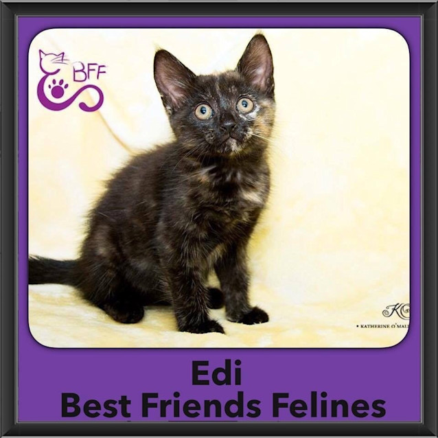 Photo of Edi