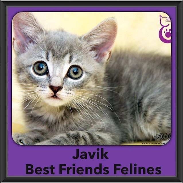Photo of Javik 