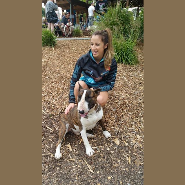 Photo of Sarge (Foster)