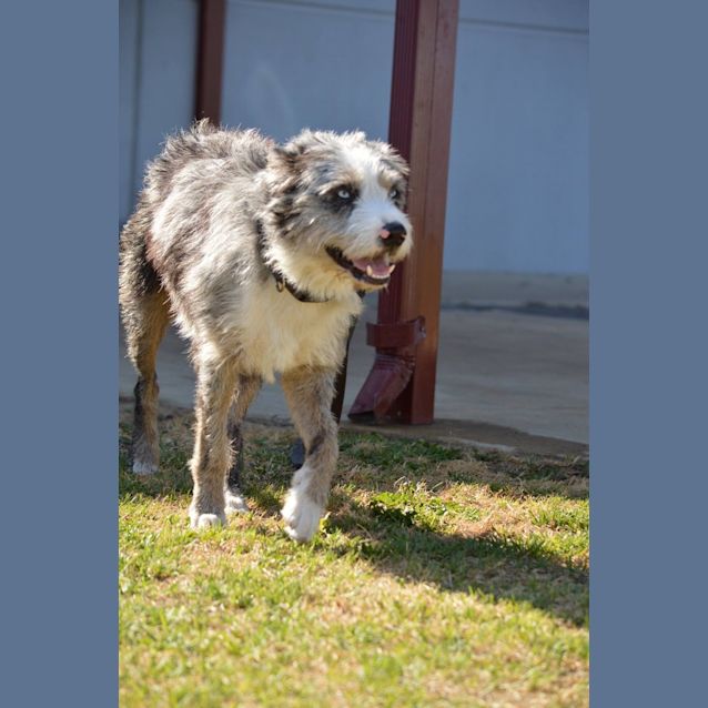 Photo of Frankie Dl1217