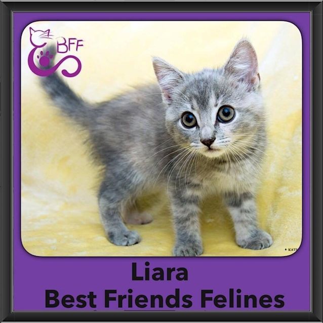 Photo of Liara 