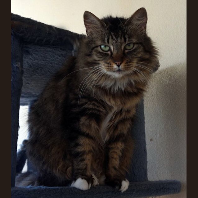 Photo of Anastasia