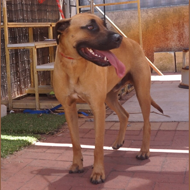 Photo of Harley