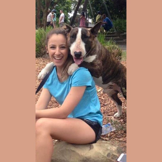 Photo of Sarge (Foster)