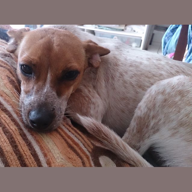 Photo of Miss Tilly