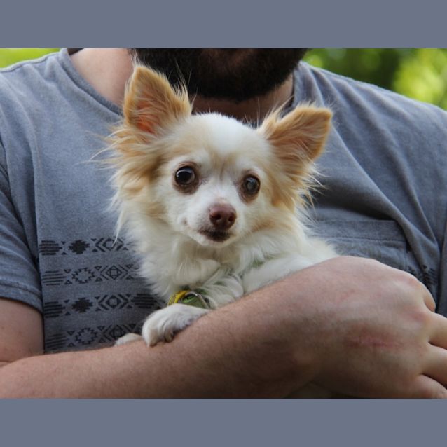 Photo of Yarnie And Lowa