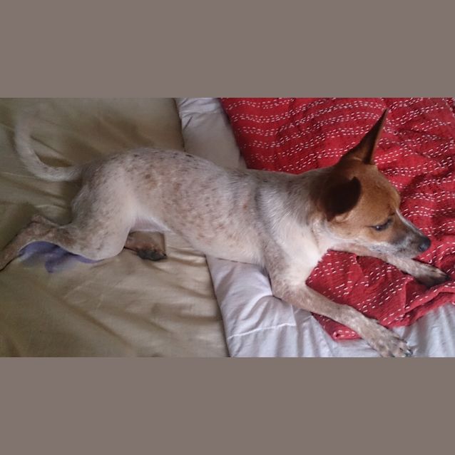 Photo of Miss Tilly
