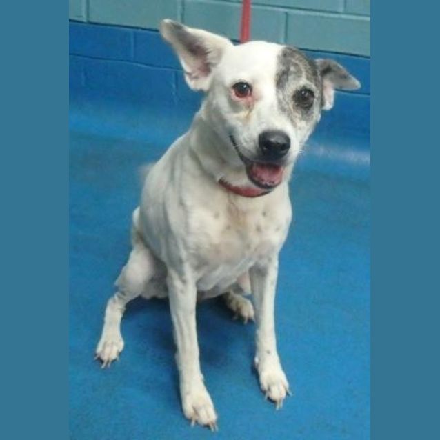 Photo of Bonita