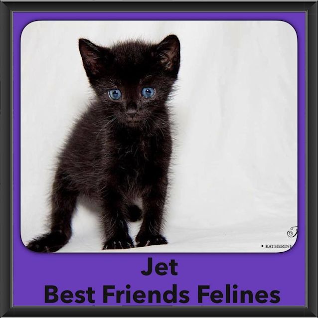 Photo of Jet