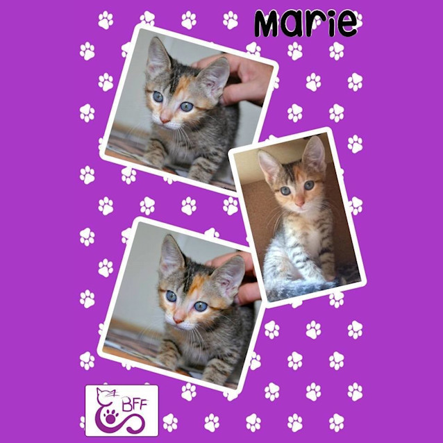 Photo of Marie 