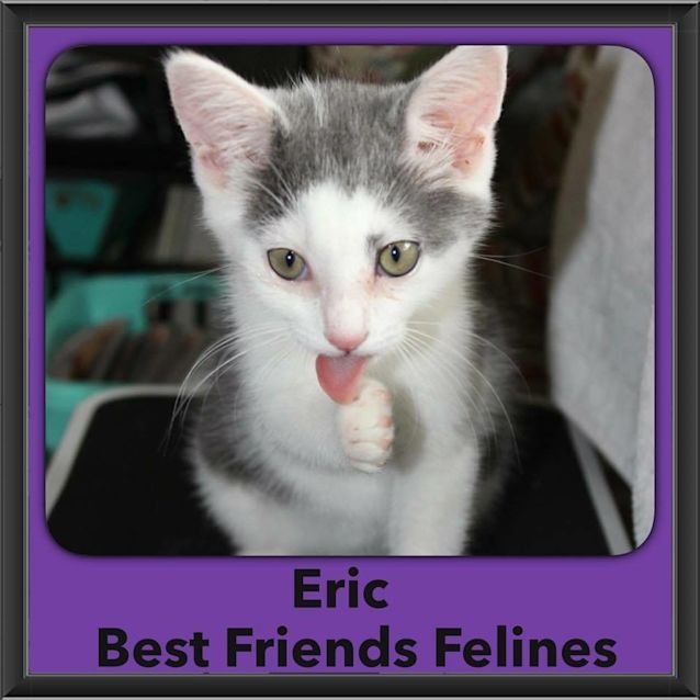 Photo of Eric 