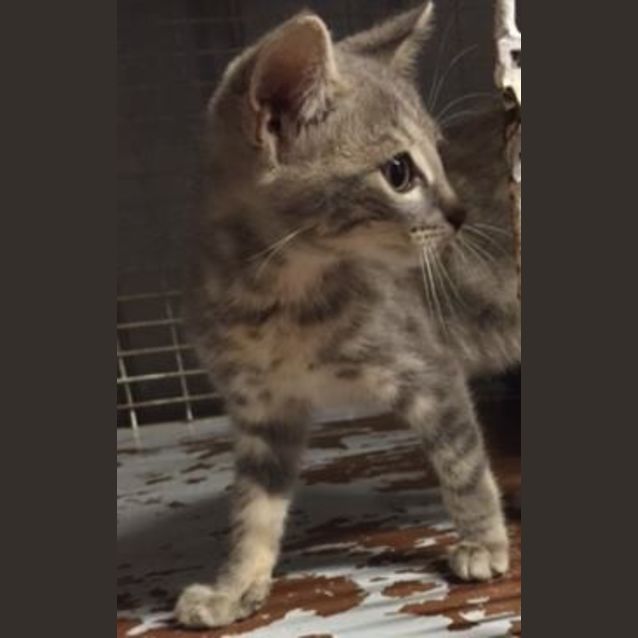 Photo of Margory