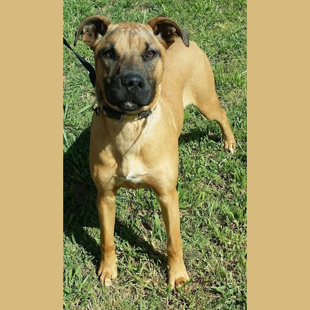 Photo of Tia