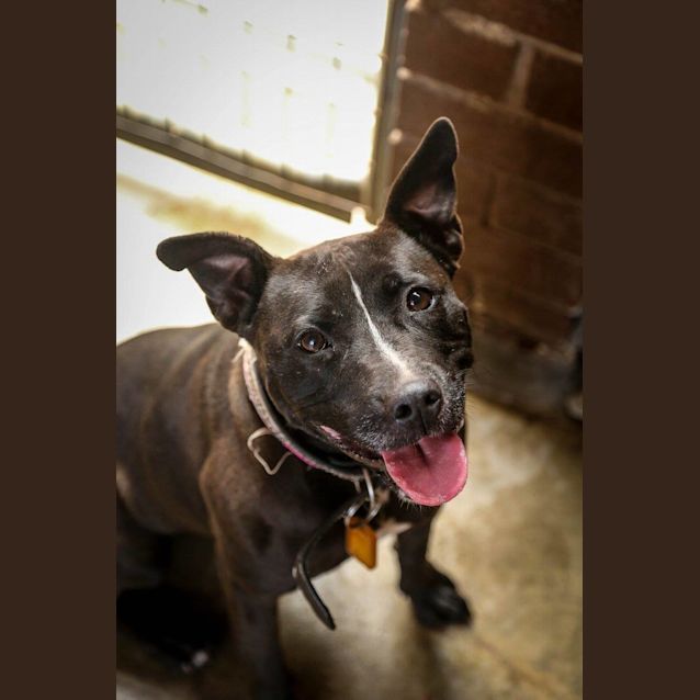 Photo of Phoebe (4754)