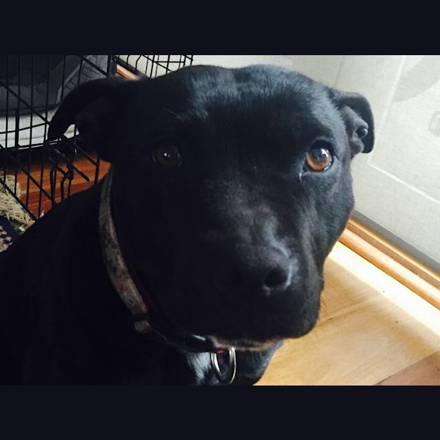 Photo of Lexi