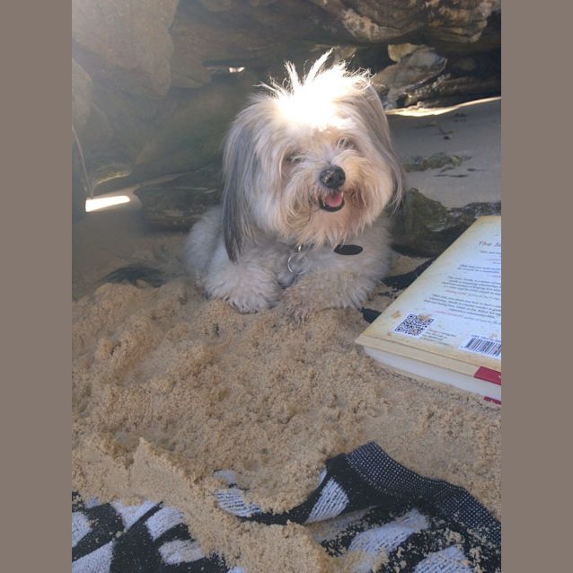 Photo of Peanuts