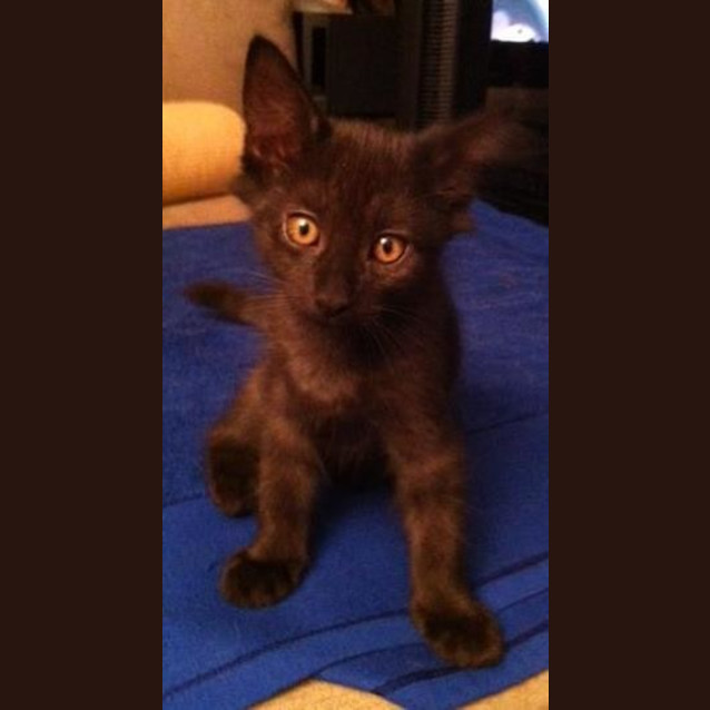 Photo of Castiel